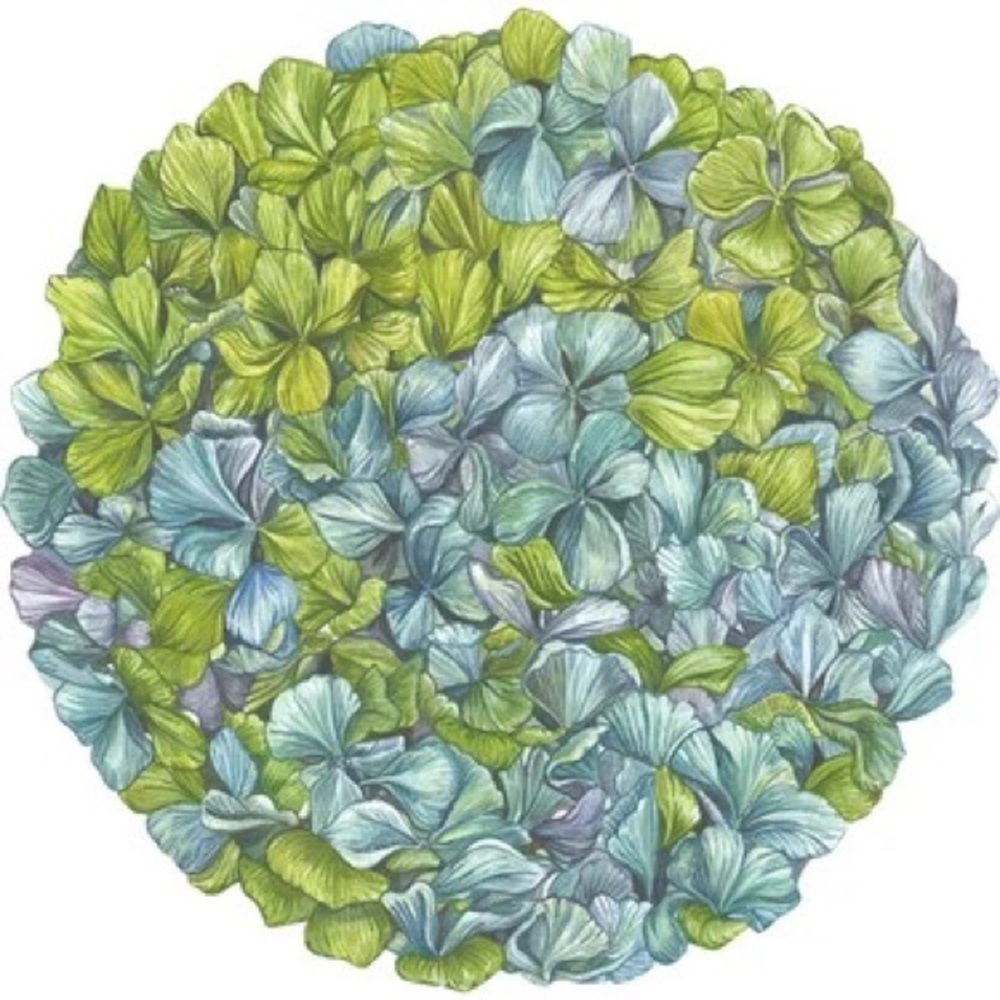 Hester & Cook Die-Cut Hydrangea Placemat 15.6" x 15.8"
Set of 12